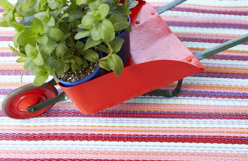 7 plante de interior vor aduce parfumuri naturale în casa ta 18873254