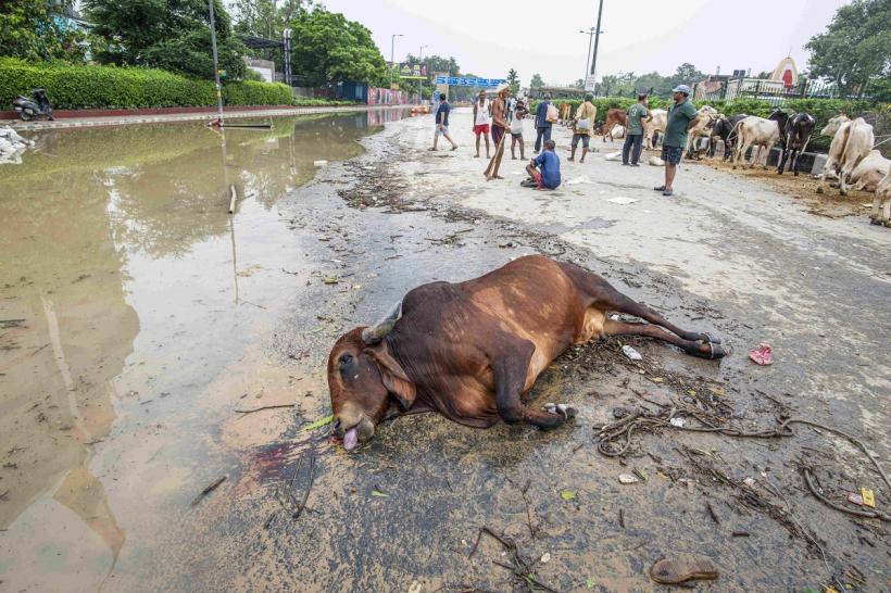 Inundații devastatoare în India 18873415