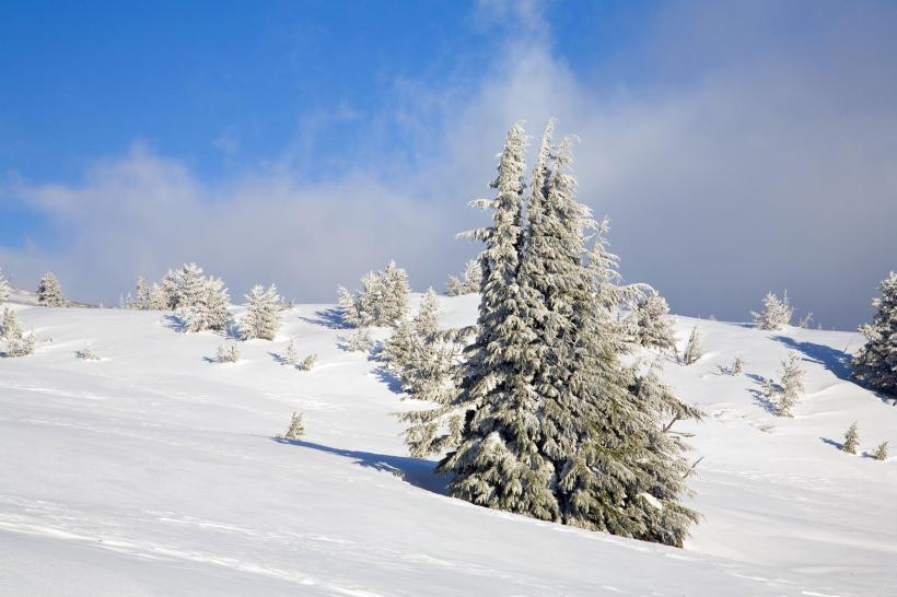 Temperaturi peste cele obișnuite de Revelion. Prognoza meteo până la 1 ianuarie 2024 18873405
