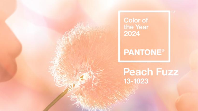 Pantone a dezvăluit culoarea anului 2024: Peach Fuzz