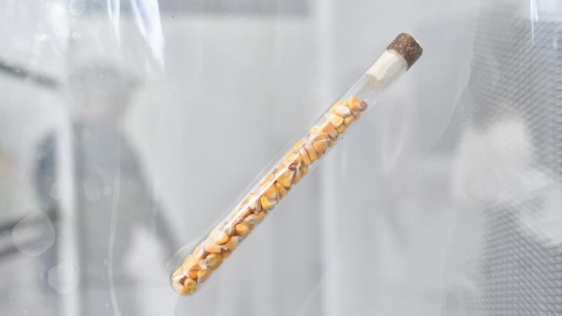 Pavilionul României la Bienala de Arhitectură de la Veneția 2023 expus în premieră în România. Vernisajul va avea loc pe 9 decembrie la Timișoara la ISHO 18873986