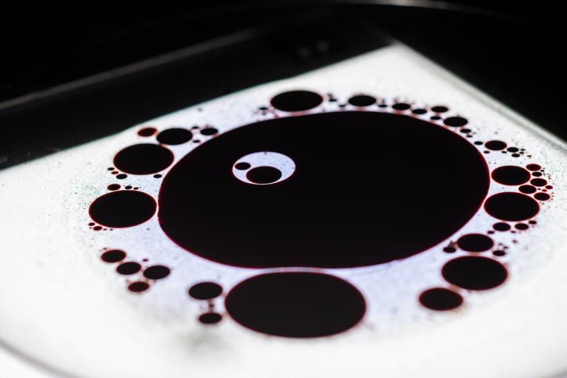 Expoziția THIS IS MY YOUTHOPIA, creată de 6 tineri  care vorbesc despre lumea din jur, până pe 15 decembrie la Timișoara 18874802