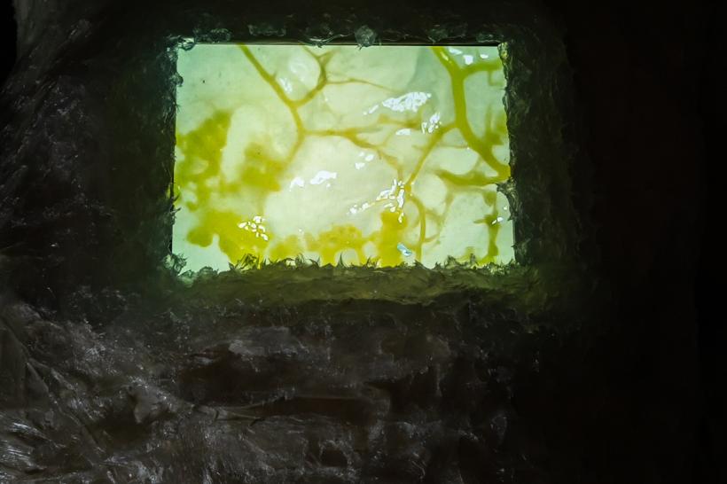 Expoziția THIS IS MY YOUTHOPIA, creată de 6 tineri  care vorbesc despre lumea din jur, până pe 15 decembrie la Timișoara 18874806