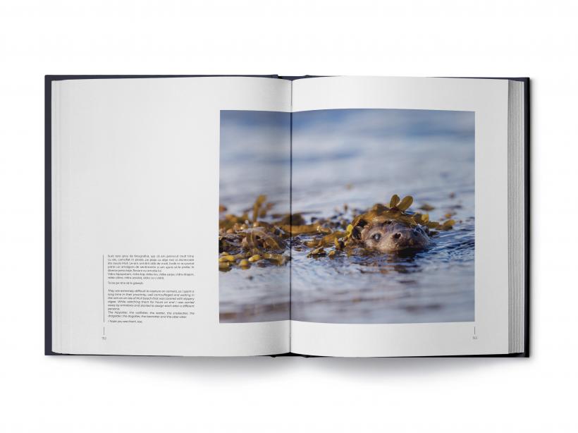 Emoțiile animalelor, reunite acum într-un album fotografic 18875069