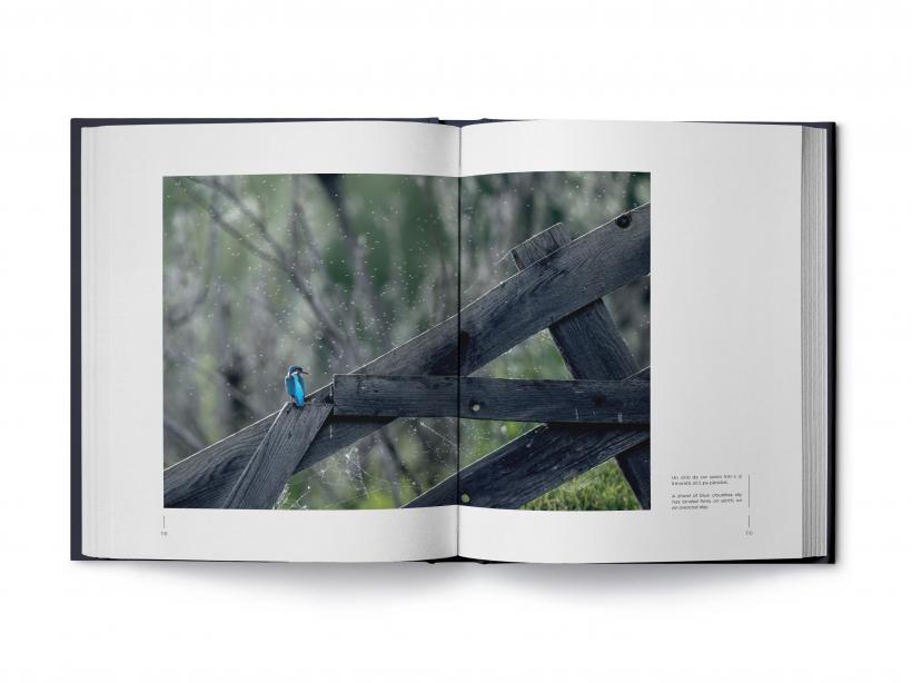 Emoțiile animalelor, reunite acum într-un album fotografic 18875070