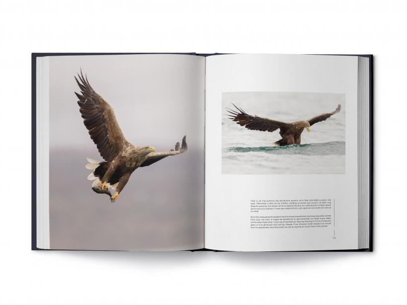 Emoțiile animalelor, reunite acum într-un album fotografic 18875071