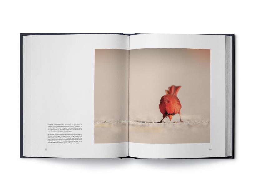 Emoțiile animalelor, reunite acum într-un album fotografic 18875072