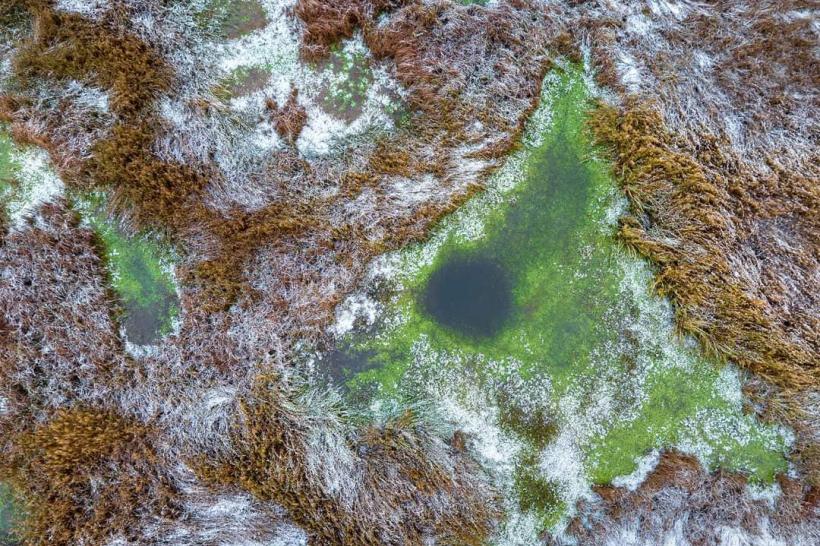 Duminică are loc ultimul tur ornitologic ghidat din acest an în Parcul Național Văcărești 18874993