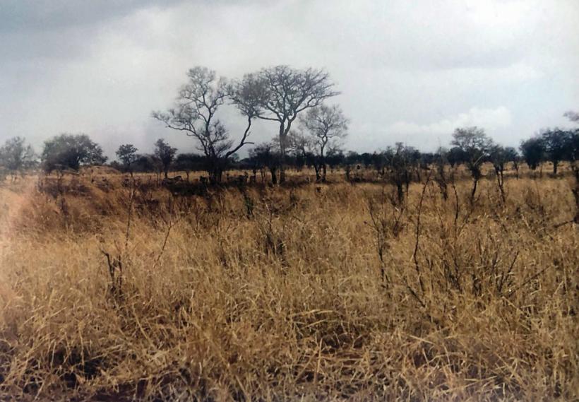 Pe urmele mele, pas cu pas 18875174