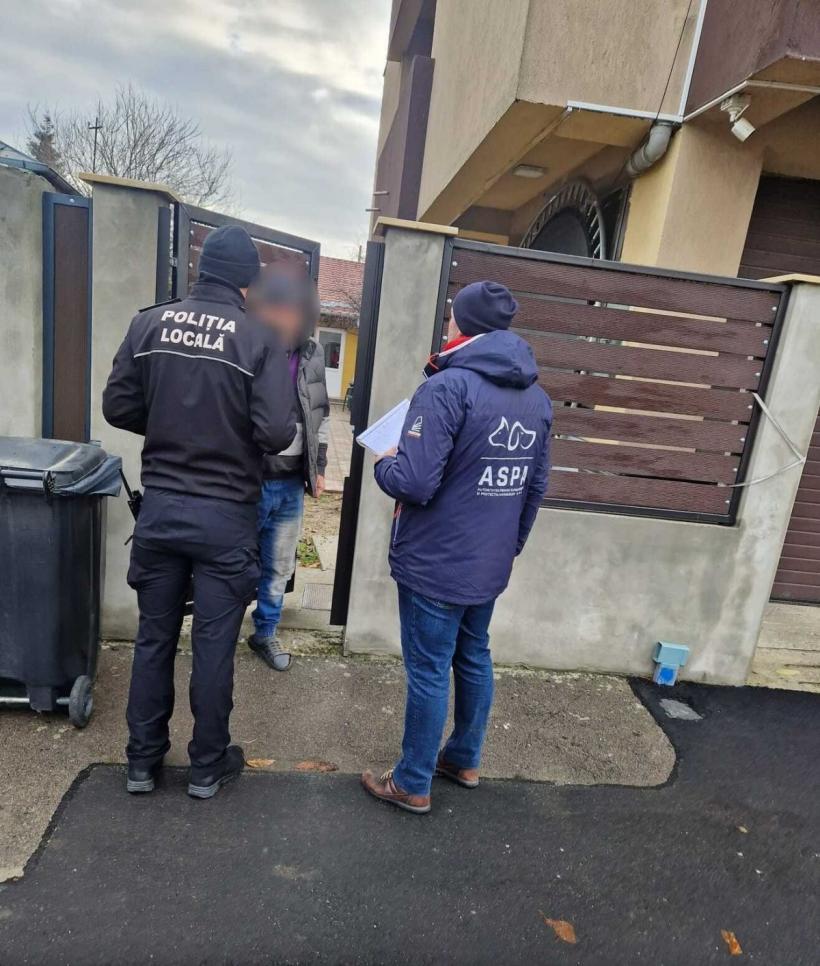 O mie de bucureşteni şi-au sterilizat câinii, în ultimele 4 luni, în urma acţiunilor efectuate de ASPA şi Poliţia Locală 18875349
