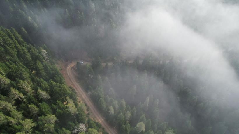 România, sub o pătură de ceață. Traficul este oprit din cauza unui accident în Dâmbovița 