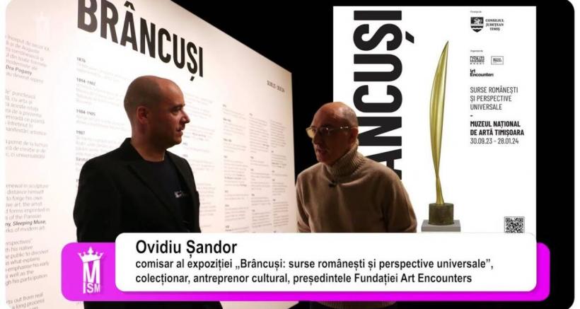 Timișoara 2023: „Brâncuși văzut de …” Ovidiu Șandor 18875641