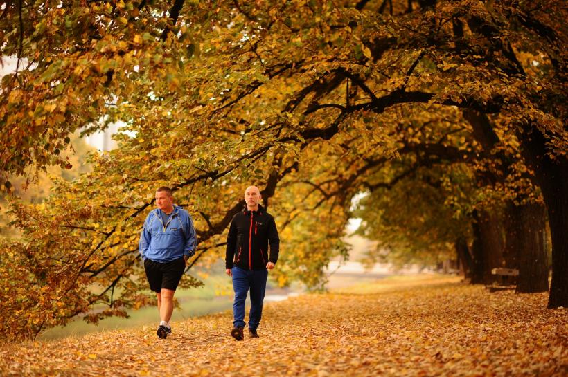 Beneficiile plimbărilor zilnice asupra sănătății fizice și mentale