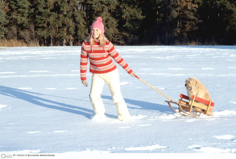 De câte ori pe zi trebuie plimbat câinele în funcție de vârstă și rasă 18876531