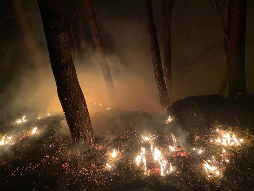 Incendiu puternic de vegetație uscată în Moinești