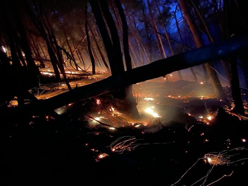 Incendiu puternic de vegetație uscată în Moinești 18876871