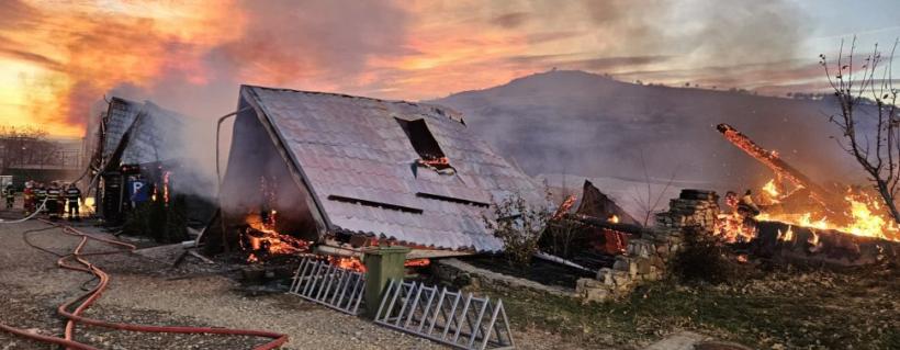 Cine este patronul pensiunii Ferma Dacilor din Prahova. Interlopul renumit în anii 2000 18876946