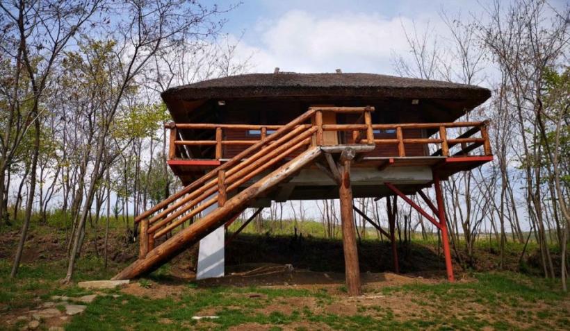 Cine este patronul pensiunii Ferma Dacilor din Prahova. Interlopul renumit în anii 2000 18876947