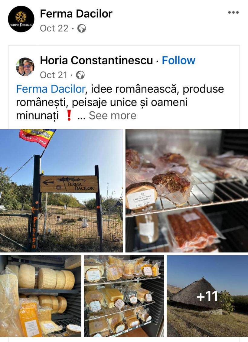 Șeful Protecției Consumatorilor, Horia Constantinescu, laude și promovare pentru Ferma Dacilor, unde cel puțin 6 oameni au ars de vii: Sunt prieten cu proprietarul de aproape 31 de ani 18877045