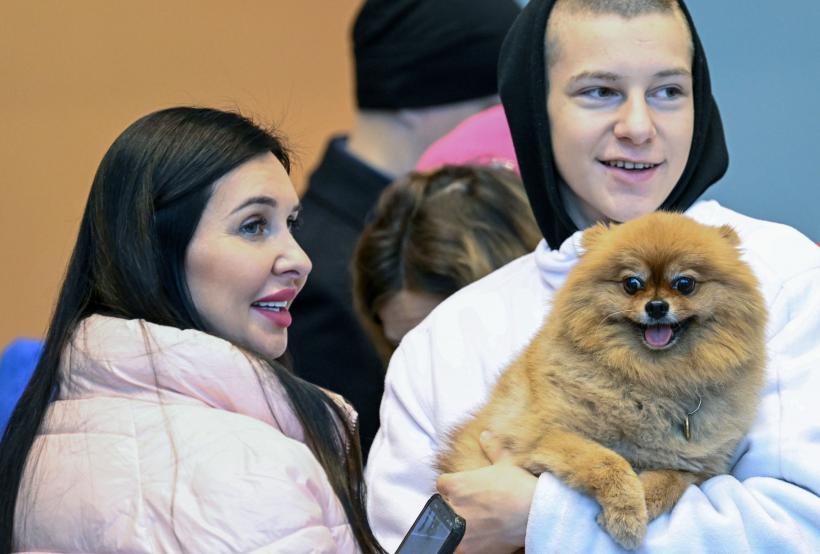 15 rase de câini cu cea mai moale blană 18877022