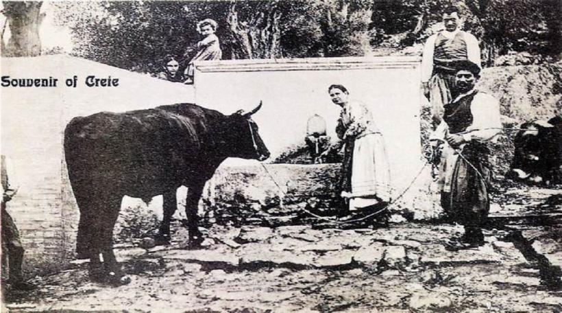 Taine (împărtășite) ale sărbătorilor de iarnă 18876969