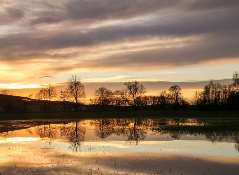 Anomaliile vremii în ianuarie 2024: temperaturi medii peste nivelul normal și precipitații numeroase 18877440