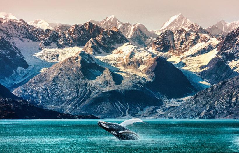 Vacanțele ieftine care ajung de trei ori mai scumpe 18877381