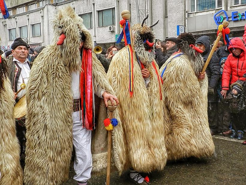 An Nou Fericit! Sănătate, fericire și împlinirea tuturor visurilor. Să știți să trăiți cărțile și să citiți viața! 18877551