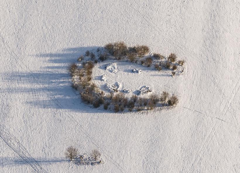 Ce înseamnă o potcoavă atârnată la ușă 18877739