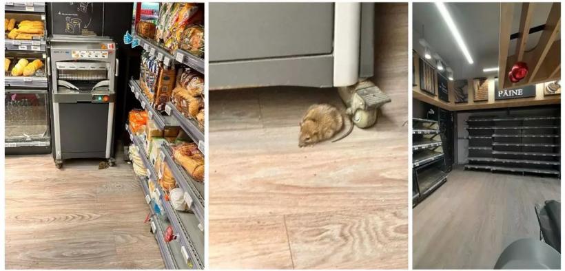 Protecția Consumatorilor a găsit un  șobolan într-un magazin din sectorul 1 al Capitalei