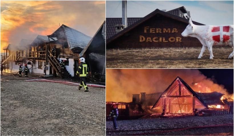 Patronul Fermei Dacilor a fost reținut pentru 24 de ore după incendiu cu 8 morți