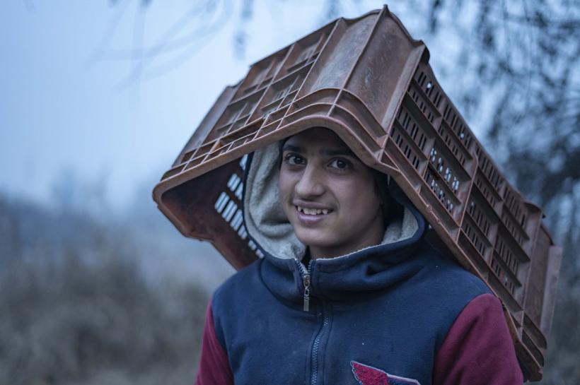 Val de frig în nordul Indiei 18877968