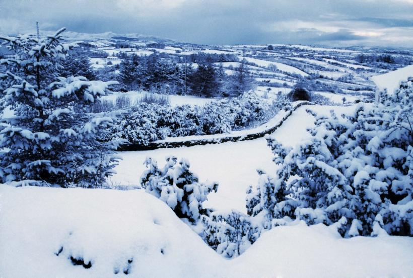 Se circulă în condiții de iarnă în nordul țării: Ninge în Pasul Gutâi și Pasul Prislop