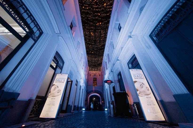 Concert Corina Sîrghi și program extins pentru vizitarea expoziției „Universul lui Salvador Dalí”, de Ziua Culturii Naționale, la ARCUB 18878822