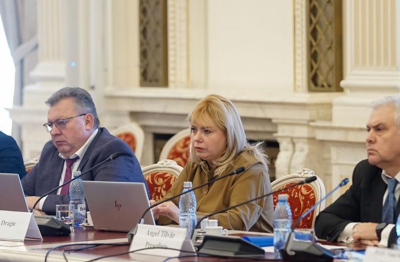 Anca Boagiu și-a găsit de lucru la Chișinău: dă sfaturi de integrarea a Moldovei în UE 18879069