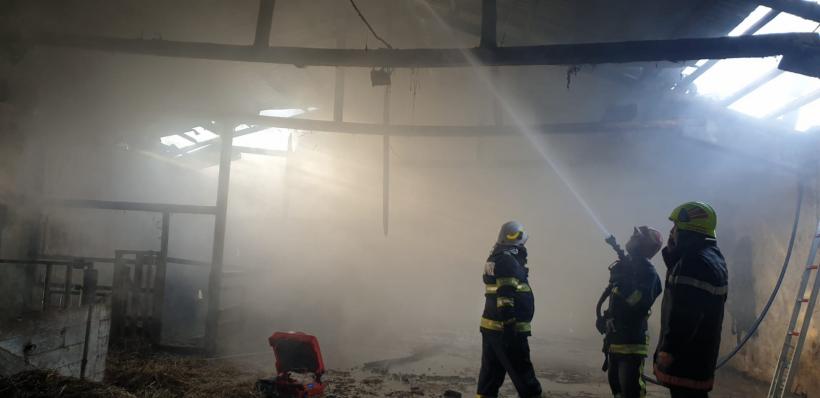 Incendiu de proporții la o societate agricolă din Satu Mare