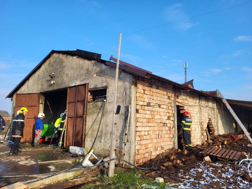Incendiu de proporții la o societate agricolă din Satu Mare 18879491