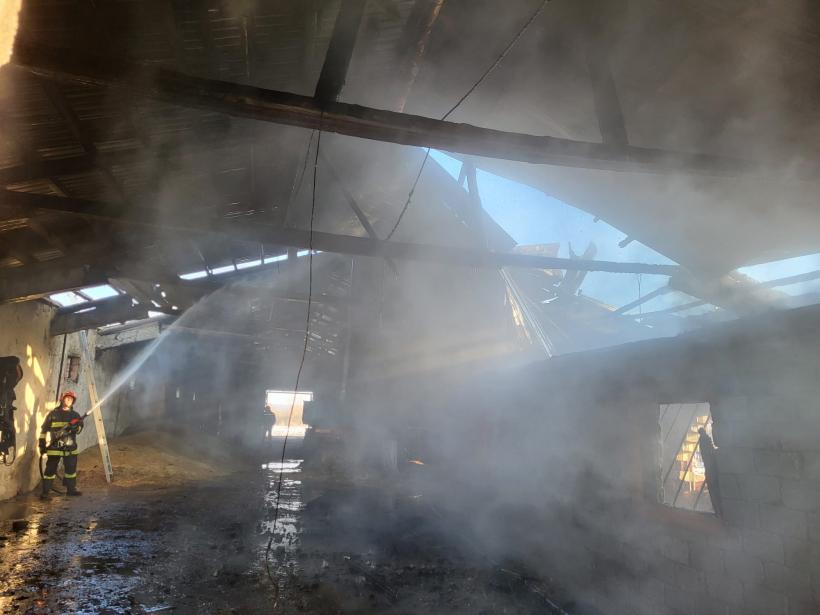 Incendiu de proporții la o societate agricolă din Satu Mare 18879492