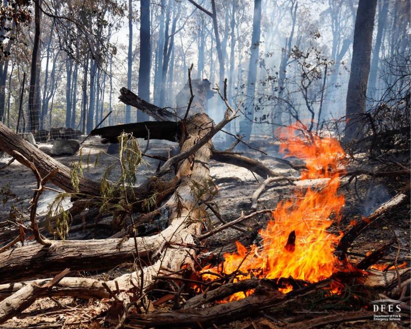 Sute de pompieri luptă cu incendiile din Australia de Vest. „Dacă drumul este liber, plecați acum într-un loc mai sigur”