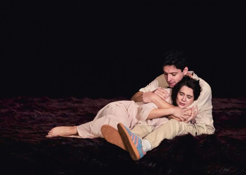 Visul unei nopţi de vară, producţie Teatrul Stela Popescu,  pe 21 ianuarie la Palatul Naţional al Copiilor 18879601