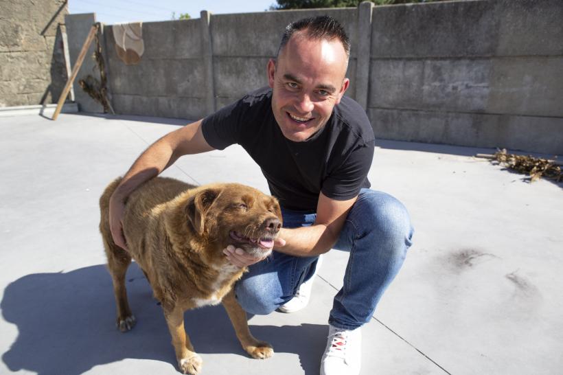 Guinness World a suspendat titlul "Cel mai bătrân câine din lume". Bobi ar fi murit la 31 de ani 18880015