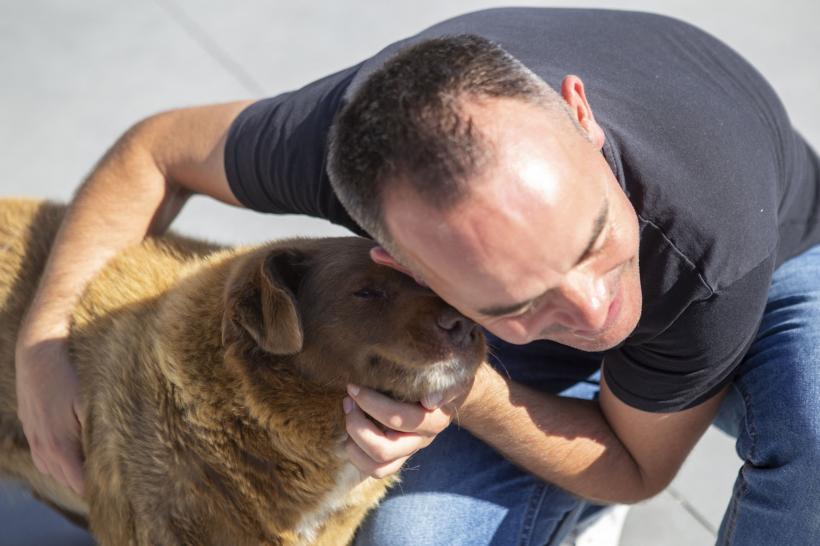 Guinness World a suspendat titlul "Cel mai bătrân câine din lume". Bobi ar fi murit la 31 de ani 18880016