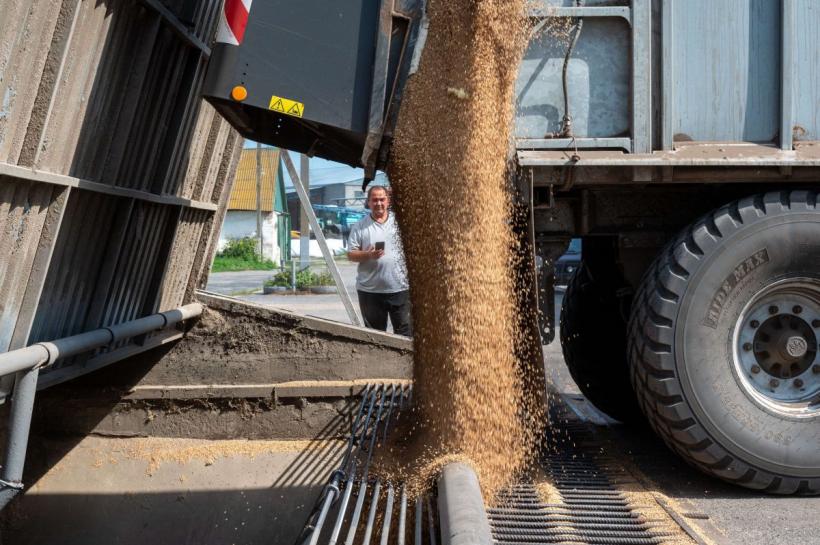 „Colosul de zahăr”, gata să distrugă piața. De ce este Ucraina spaima Europei Agricole? 18879948