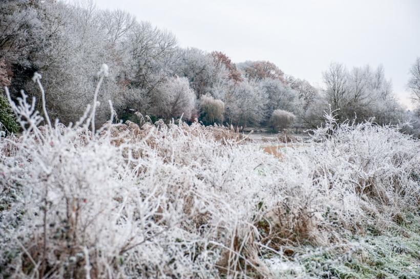 Meteorologii avertizează: Un nou ciclon aduce ninsori și ger în toată țara. Vremea se schimbă radical 18880152