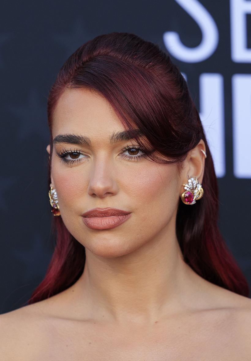 Dua Lipa: fanii nu te vor deștept 18880102