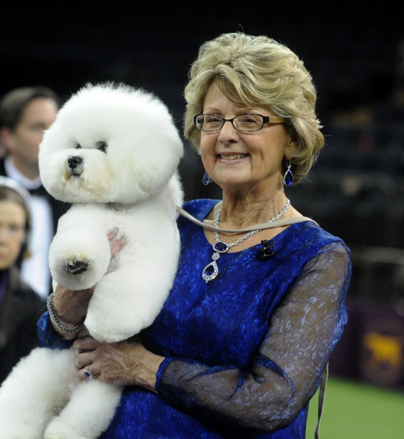 8 rase de câini care arată ca niște puiuți toată viața 18880282