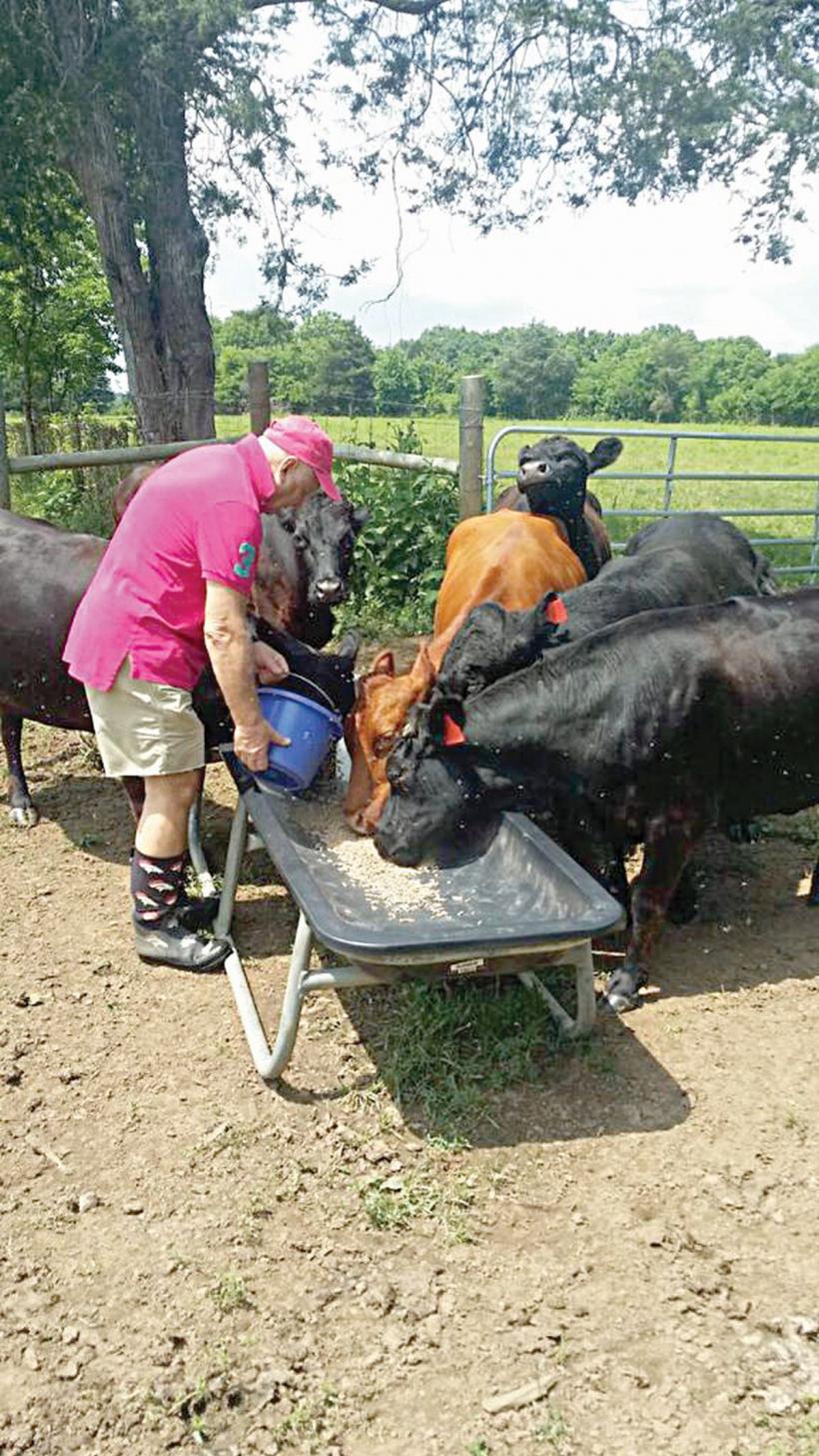 Prețurile au crescut peste tot. Dar sunt soluții 18880251