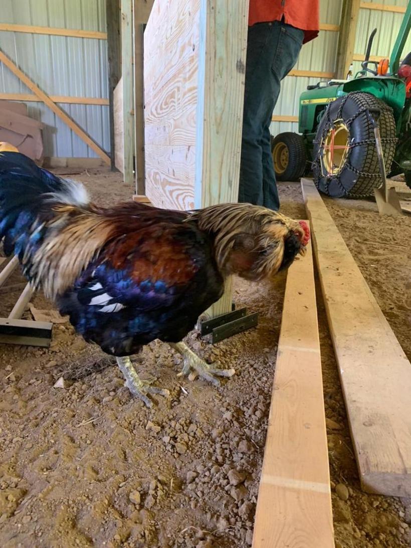 Prețurile au crescut peste tot. Dar sunt soluții 18880252