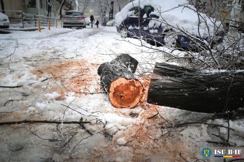 Câteva ore de ninsoare au făcut ravagii în Capitală! Copaci puşi la pământ, maşini distruse, tramvaie deraiate și circulație îngreunată  18880595