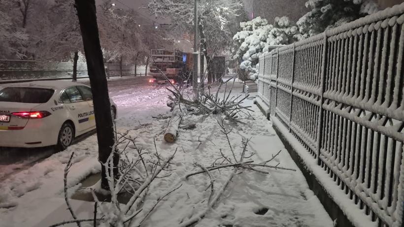 Curți inundate, copaci prăbușiți și drumuri naționale blocate, în ultimele 24 de ore, în România 18880533